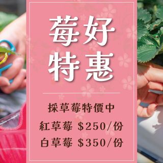 未命名-1_工作區域 1(1)